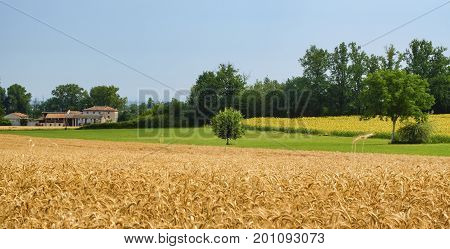 Rural landscape at summertime along the road from Castel San Giovanni to Ganaghello (Piacenza Emilia Romagna Italy) in the Tidone valley
