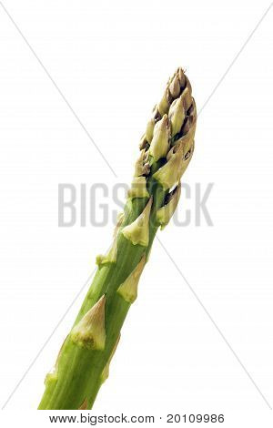 Grüner Spargel
