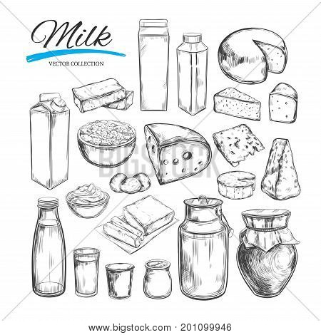 Dairy products vector collection. Milk products cheese butter sour cream curd yogurt. Farm foods. Farm landscape with cow. Hand drawn illustration. Isolated objects on white