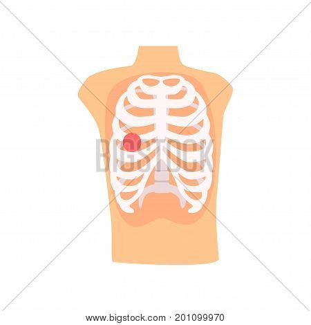 Rib injury pain cartoon vector Illustration on a white background