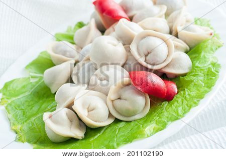 Frozen Dumplings On The White Plate With Green