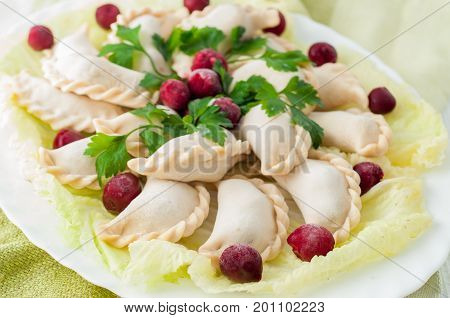 Frozen Dumplings On The White Plate With Green
