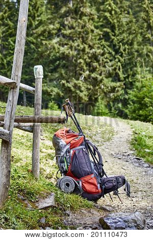 Hiking in the mountains in the summer with a backpack.