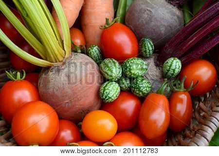 Red Tomatoes, Rainbow Beetroot, Pepquino And Carrots