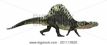 Computer generated 3D illustration with the archosaur Arizonasaurus isolated on white background
