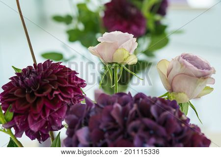 Close-up purple flowers in the vase on the table. Little bouquet made of pink roses and violet hydrangea flowers on light background. Beautiful floristic decor for event. Wedding decor