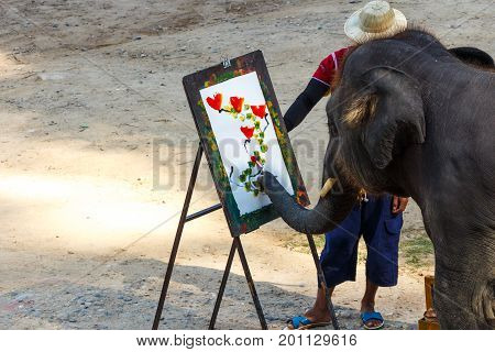 Elephant is painting by oil color at Mae Sa elephant camp Chiangmai Thailand .