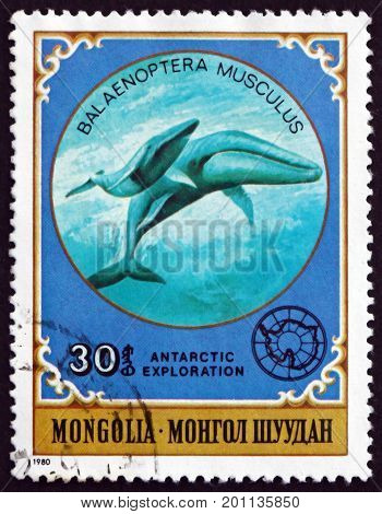 MONGOLIA - CIRCA 1980: a stamp printed in Mongolia shows Giant Blue Whale Balaenoptera Musculus is a Marine Mammal circa 1980