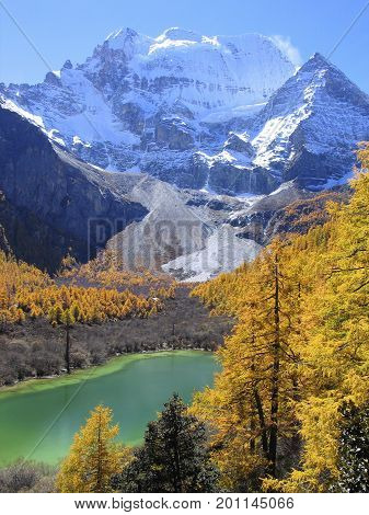 Xiannairi mountain in Yading National Nature Reserve, with lake and golden leaves in autumn