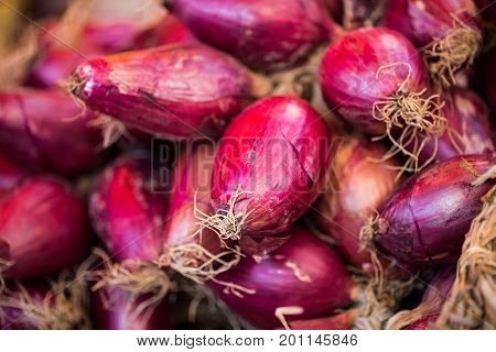 Red onions from Tropea, calabria, sales, market