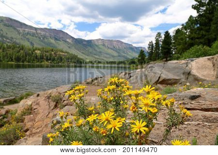 Summer at Haviland Lake in Durango, CO