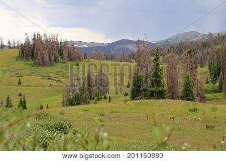 Elwood Pass in Pagosa Springs in Colorado
