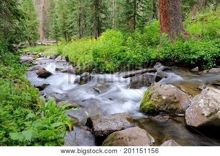Creek at Elwood Pass in Pagosa Spring, Colorado
