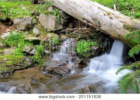 Creek at Elwood Pass in Pagosa Spring, Colorado