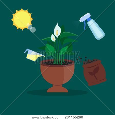 Vector houseplant growth and care infographics. Illustration with sun, plant and equipment for care. Flat style.