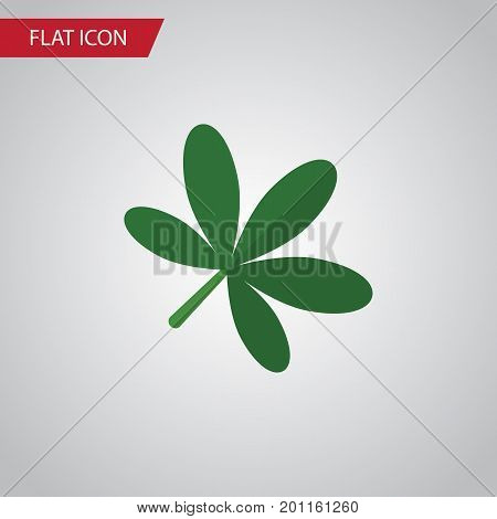 Maple Vector Element Can Be Used For Oaken, Maple, Leaf Design Concept.  Isolated Oaken Flat Icon.