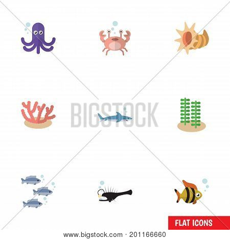 Flat Icon Sea Set Of Shark, Seashell, Algae And Other Vector Objects