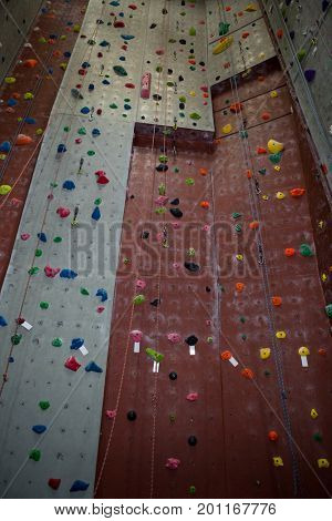 Wall with colorful footholds in fitness studio