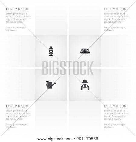 Icon Dacha Set Of Bailer, Plougher, Grain And Other Vector Objects