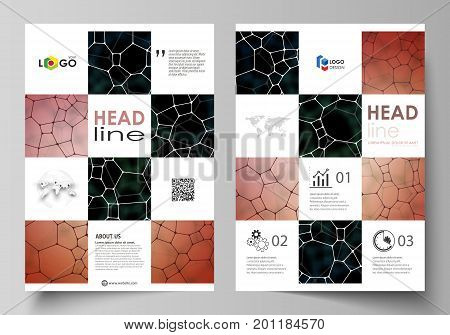 Business templates for brochure, magazine, flyer, booklet or annual report. Cover design template, easy editable vector, abstract flat layout in A4 size. Chemistry pattern, molecular texture, polygonal molecule structure, cell. Medicine, science, microbio