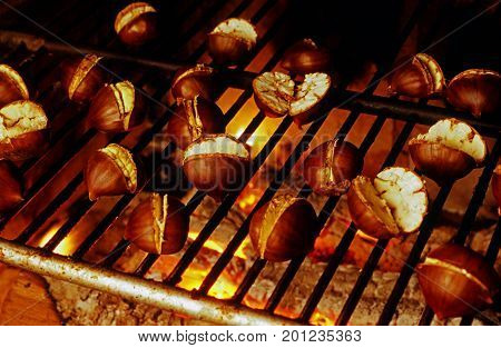 roasted cut chestnuts on grill over embers