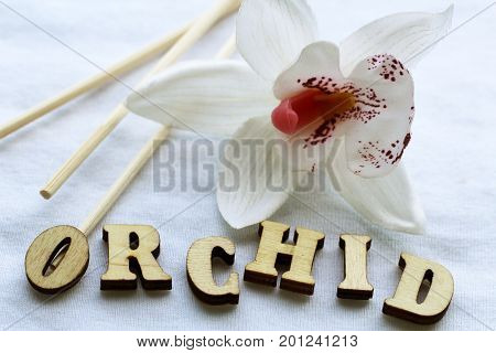 Beautiful white Orchid and wooden text letters
