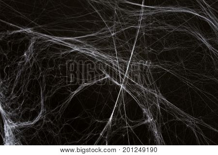 halloween, decoration and horror concept - ecoration of artificial spider web over black background