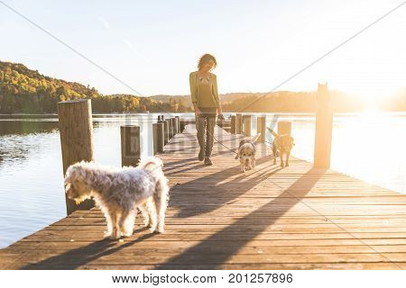 Woman Walking The Dogs On The Dock At Sunset