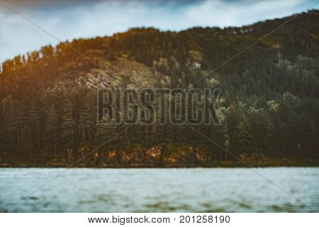 True tilt-shift shooting of Katun river bank with coniferous forest on flank of the hill: multiple pine trees peak of mountain in defocused background and water in foreground Altai district Russia