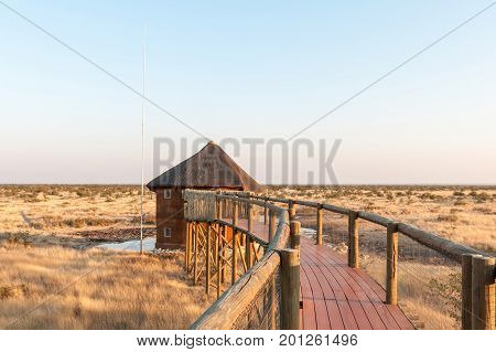 ETOSHA NATIONAL PARK NAMIBIA - JUNE 26 2017: The elevated walkway and hide at the waterhole at the Olifantsrus Rest Camp in the Etosha National Park