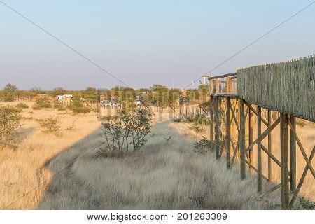 ETOSHA NATIONAL PARK NAMIBIA - JUNE 26 2017: View of the Olifantsrus Rest Camp in the Etosha National Park as seen from the upper level of the hide at the waterhole