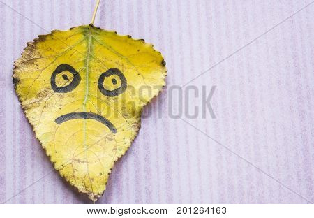 Yellow Leaf With A Picture Of A Sad Face