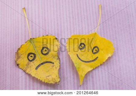 Yellow Leaf With A Picture Of A Merry And Sad Face