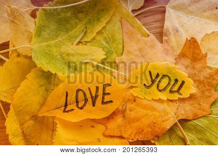 Yellow Leaf With An Inscription Love You On A Background Of Yellow Autumn Leaves