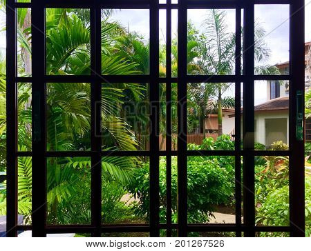 Dark window panes against tropical foliage outside