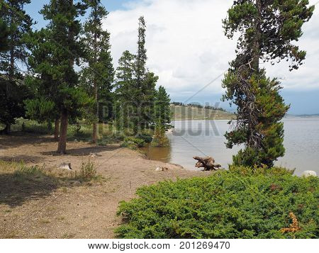 A small clearing by the Granby Lake in Colorado. There are evergreen trees by the calm water. The sky overhead is bright blue with white puffy clouds.