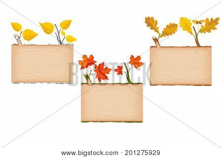 Set of three natural textured wooden rectangular log signboard with yellow birch red maple and brown oak autumn leaves vector illustration