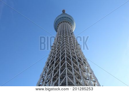 Skytree