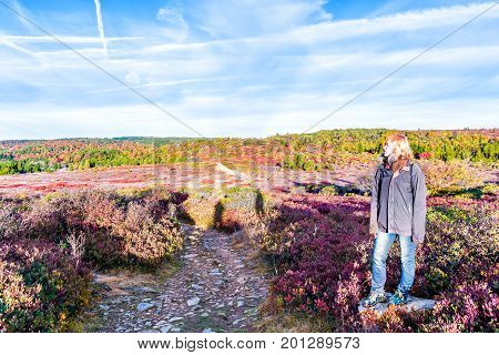 Icy Frost On Red Blueberry Huckleberry Bush Trail Path Illuminated By Morning Sunlight At Dolly Sods