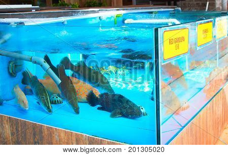 Fish Aquarium At Restaurant