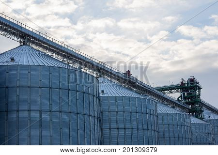Metal Grain Elevator In Agricultural Zone. Agricultural Silos. Building Exterior. Storage And Drying