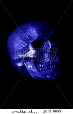 Halloween Skull. Spooky Halloween Skull isolated on black.  Blue Death Head in black shadows. 