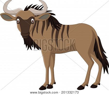 Vector illustration of Cartoon wildebeest isolated on white background