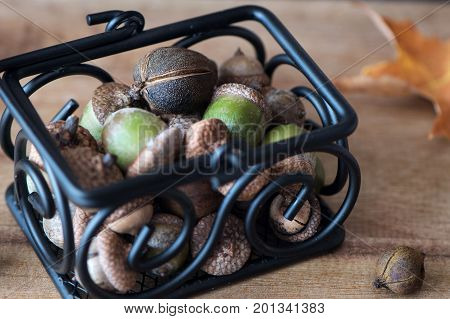 Close up view of seasonal autumn acorn decorations in basket