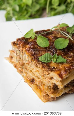 Fresh Lasagne Portion with oregano on white dish with Herbs