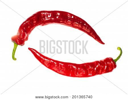 red chili or chilli cayenne pepper isolated on white background cutout