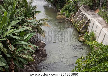 a river with banana tree leaf on the side photo in jogja indonesia java