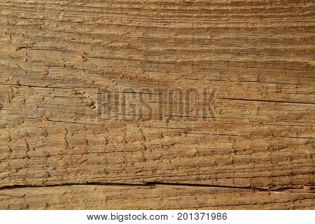 Wooden texture for Background use in antique look