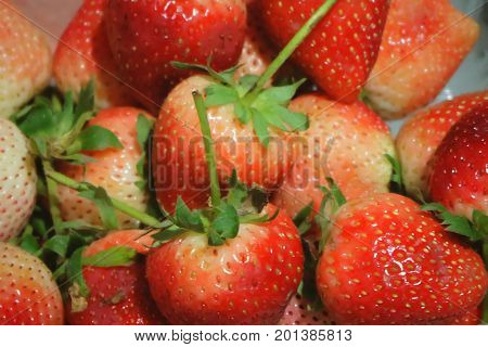 Fresh Fruit Close Up of Ripe and Sweet Strawberry High in Vitamin C Tablet Essential Nutrient for Life.