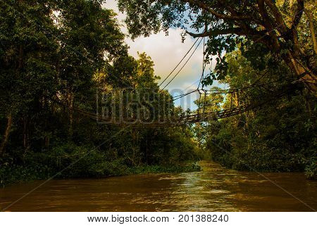 Evening Landscape Of Forests And Mesh. Kinabatangan River, Rainforest Of Borneo Island, Sabah Malays